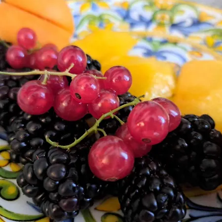 Nocleg ze śniadaniem Mimosa *