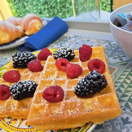 Mimosa Nocleg ze śniadaniem *
