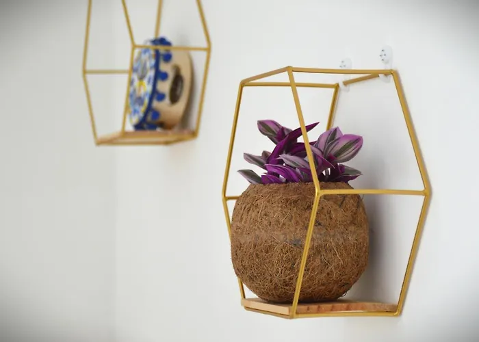 Mimosa Bed & Breakfast