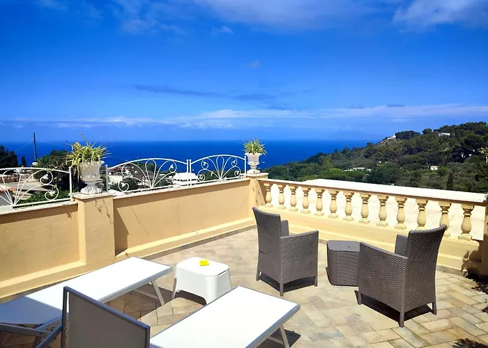 Mimosa Anacapri (Isola di Capri)