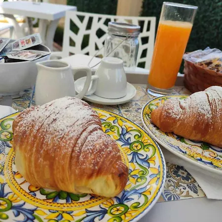 Mimosa Couette-café