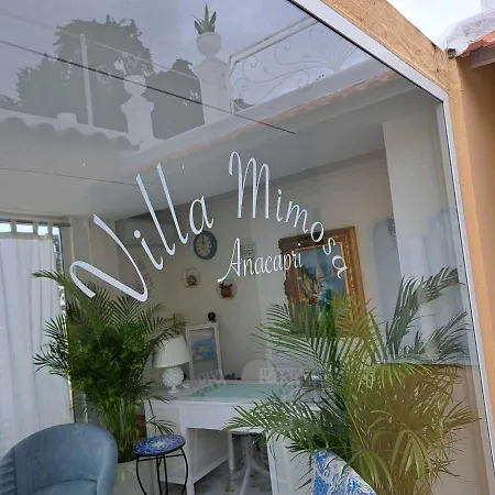 Mimosa Couette-café