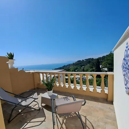 Mimosa Couette-café