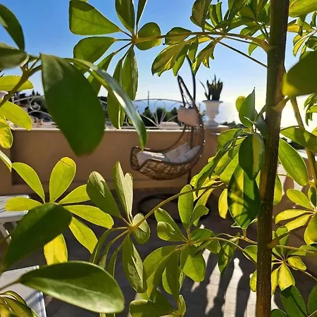 Couette-café Mimosa