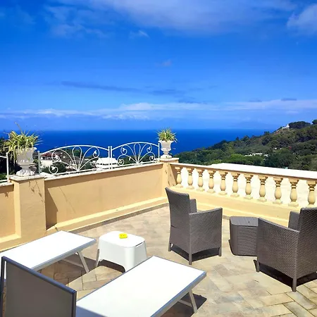 Mimosa Anacapri (Isola di Capri)