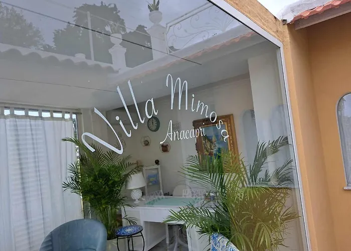 Mimosa Couette-café