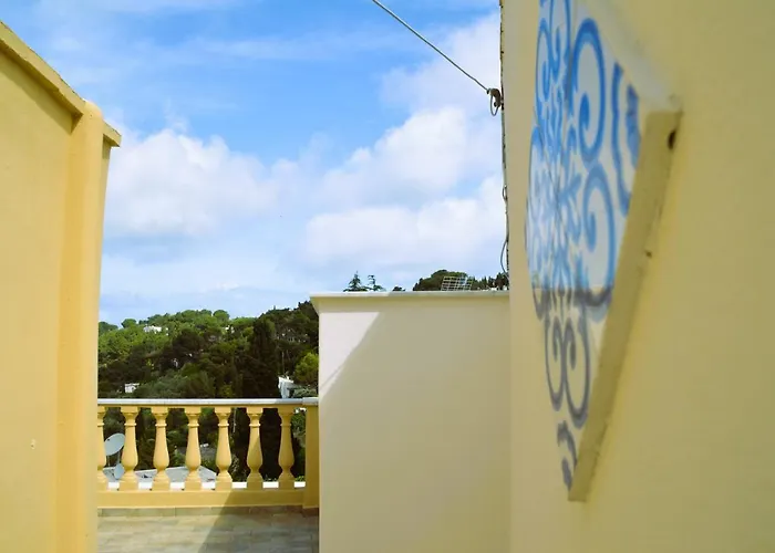 Mimosa Anacapri (Isola di Capri)