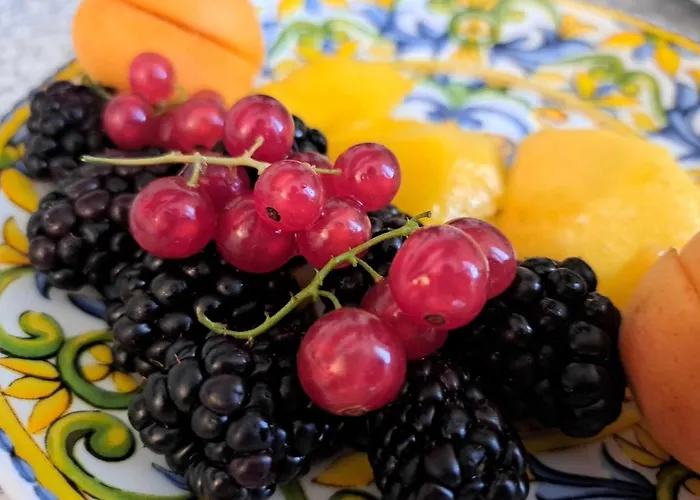 Bed & Breakfast Mimosa 4*