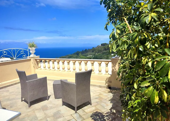 Couette-café Mimosa