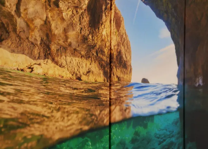 Mimosa Anacapri (Isola di Capri)