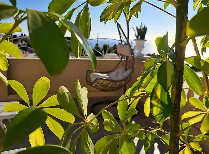 Bed & Breakfast Mimosa